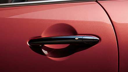 MINI ROSEWOOD EDITION – COMFORT ACCESS